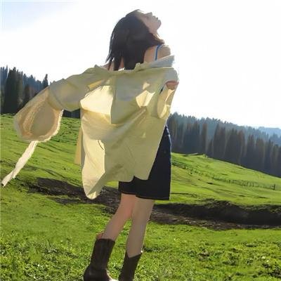 新边城浪子